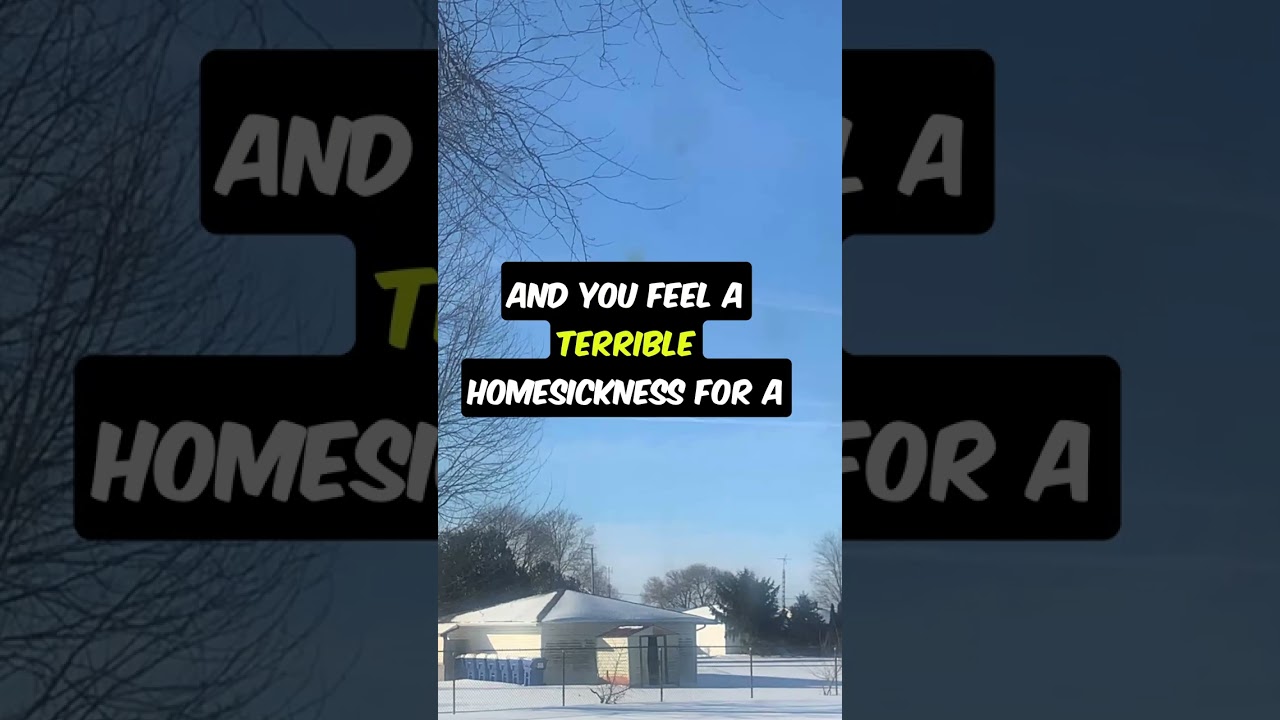 The Algorithm Is A Lie. You Were Led Here For A Reason