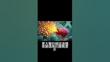 糖与胰岛素双重夹击肾脏！60%成年人血糖不正常，快控糖！