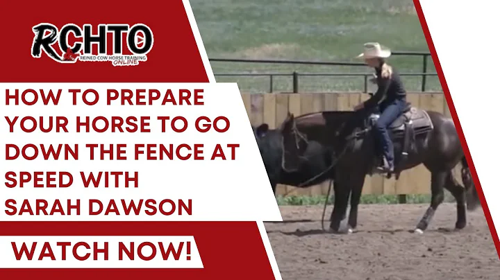 How To Prepare Your Horse To Go Down The Fence At ...