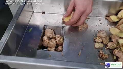 Máy vắt nước cốt gừng nguyên chất - Điện Cơ Xanh 0984467870