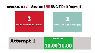 DO-IT-YOURSELF SESSION 117 | BS-CIT SESSION 59