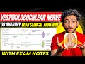 Neuroanatomy- Vestibulocochlear Nerve | MBBS 1st Year | Explanation With Exam Notes | MBBS World