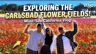 Carlsbad Flower Fields 🌸 | A Beautiful Day in Southern California (Late upload)