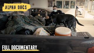 K9 Alerts 🚨 $4 Million Meth Bust | Borderforce USA | Season 3 | Episode 8 | Full Documentary