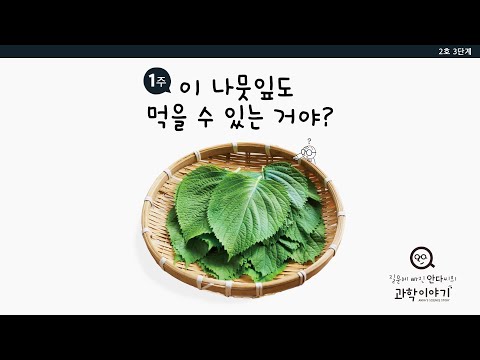 안다과학 2호3단계1주