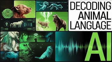 How AI is Decoding the Language of Animals
