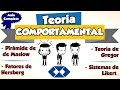 Teoria Comportamental || Pirâmide de Maslow || Fatores de Herzberg || Teorias X e Y || e Muito +