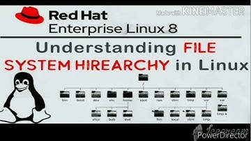 File System Hierarchy in RHEL8