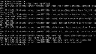 Slave DNS server in ubuntu server 12.04 LTS