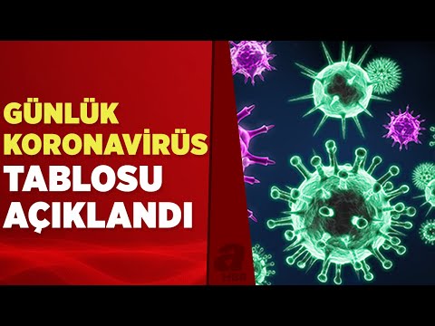 23 Şubat koronavirüs tablosu açıklandı! İşte Kovid-19 hasta, vaka ve vefat sayılarında son durum...