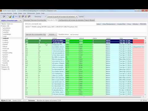 21 RQDA & SQLite Export