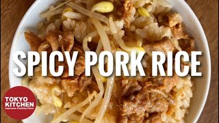 HOW TO MAKE SPICY PORK RICE | Just Put Everything in a Pot and Cook !