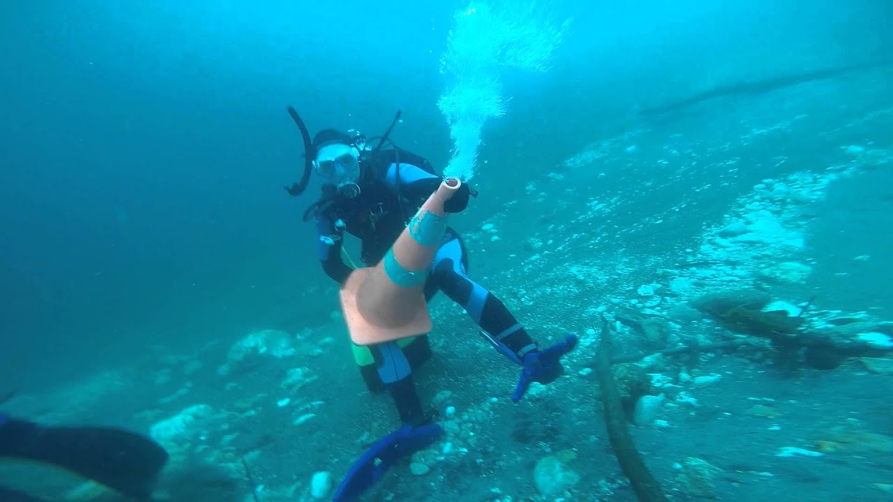 Waikato Drift Dive 2016