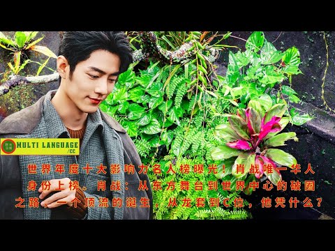 【陈氏日报3月12日】世界年度十大影响力名人榜曝光！#肖战 唯一华人身份上榜。肖战：从东方舞台到世界中心的破圈之路，一个顶流的诞生，从龙套到C位，他凭什么？#xiaozhan #showbiz