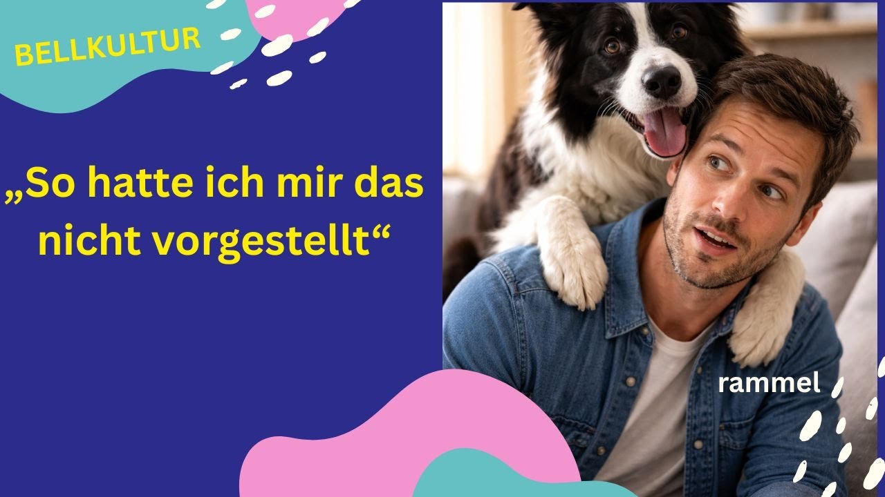 Wenn ein Border Collie dein Leben auf den Kopf stellt“