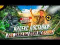 ЯНДЕКС ДОСТАВКА ГДЕ ЗАКАЗЫ ВСЮ НЕДЕЛЮ