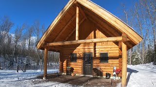 Predator on the Homestead. OFF GRID Log Cabin Living, Trout Fishing, & Spring Gardening. April 2024