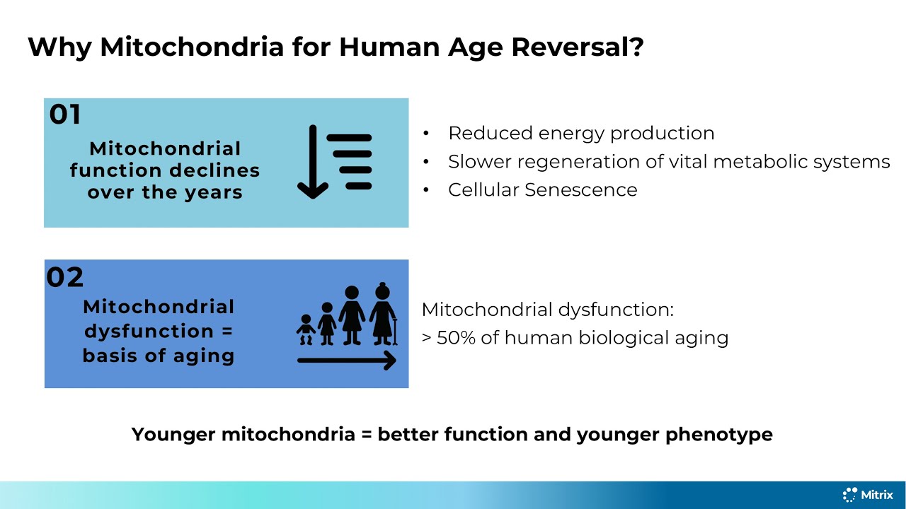 Human Age Reversal through Mitochondrial Transplantation - YouTube