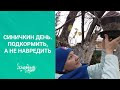 Птицы в саду зимой - одна только польза! Как привлечь синичек в сад и сделать простые кормушки