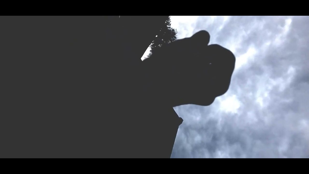 DO you Hear him say Proycon