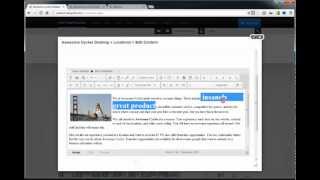 Custom HTML Editor Styles in DotNetNuke 7 Net Worth