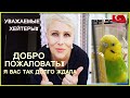 Уважаемые, Хейтеры! Добро пожаловать на канал! Я вас так долго ждала! Как я стала БЛОНДИНКОЙ