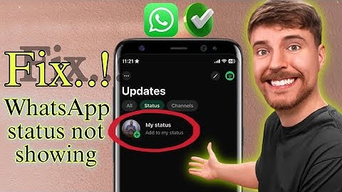 How to Fix WhatsApp Status Not Showing in 2025 [ All apps Solution ]