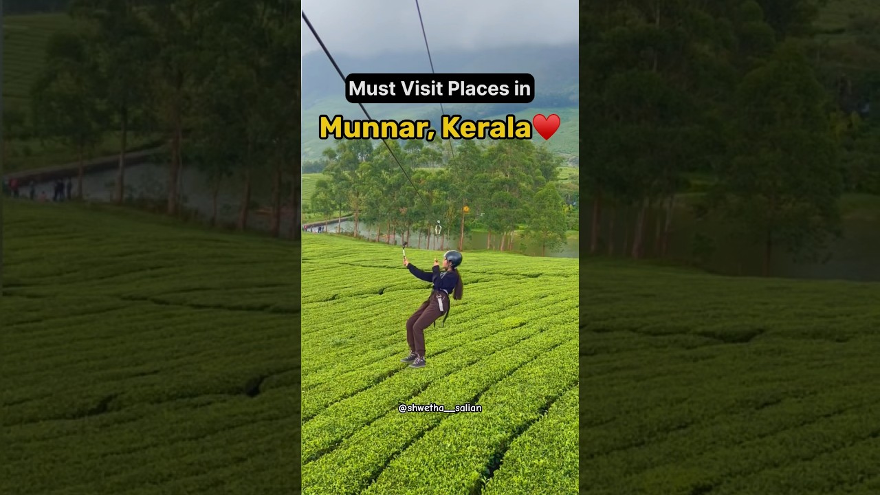 Places to visit in Munnar | Munnar trip | Munnar itinerary | shwetha salian | wanderbees