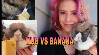 Wubalub the bun VS a banana