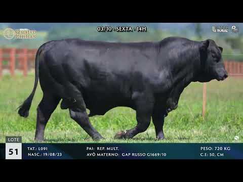 LOTE 051