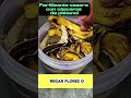 Fertilizante casero con c&aacute;scaras de pl&aacute;tano!