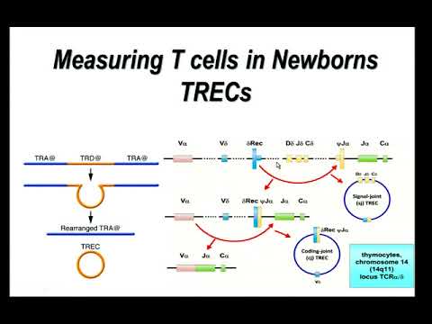 01/08/13 Recent Developments in Immunodeficiency