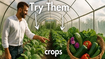 These 5 Greenhouse Crops Can Make You A Millionaire in Agriculture Business | Try Them