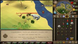 22nd Skillcape ~ 99 Hunter