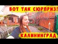 ПРОГУЛЯЛИСЬ ПО РАЙОНУ/СЮРПРИЗ ОТ МАРИКИ/ГДЕ РАБОТАЕТ ВИТАЛИК/ВЛОГ