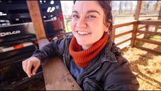 Welcome to the Farm! (Adding to the flock) | VLOG