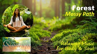 Mossy Path - Calm Forest Trail Music | Grounding & Peaceful Instrumental - Slowaya