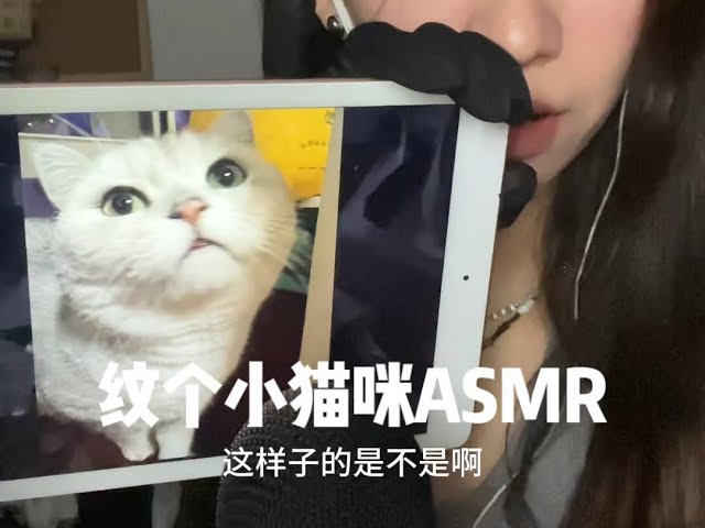 【助眠】纹身第2弹！今日给你纹个小猫咪！
