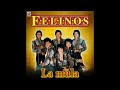 LOS FELINOS,,,LA MULISIMA