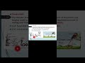 Define food chain in nepali #foodchain #ecosystem #class9#nepalistudent