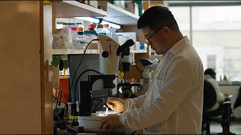 Research Scouts Scholars: Longhua Guo, Ph.D.