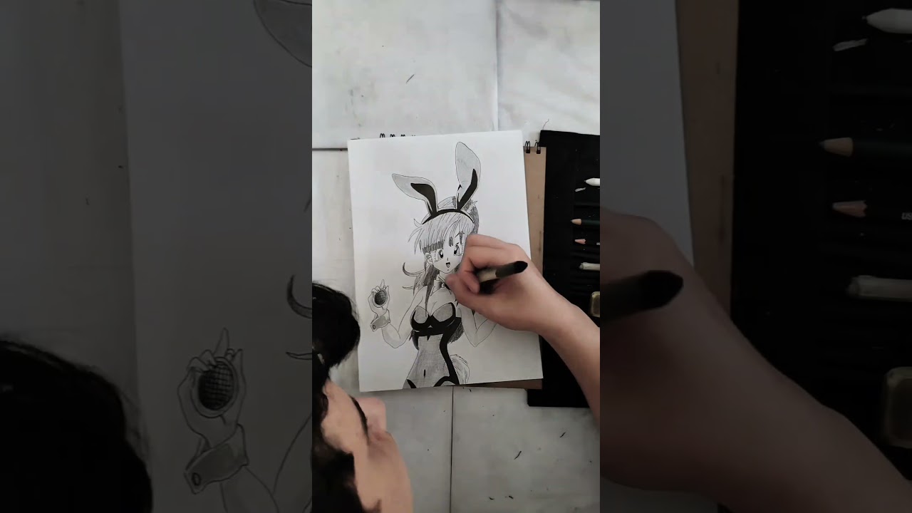 DRAGON BALL Bulma drawing 