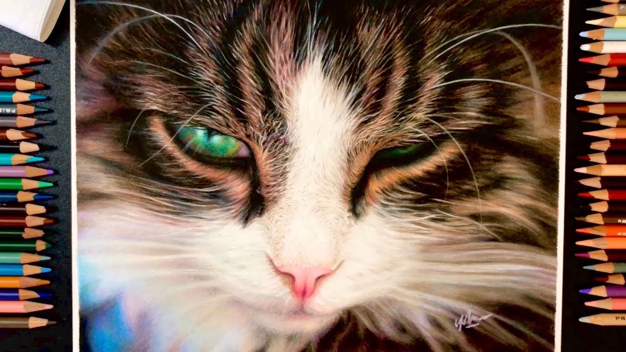 How I draw a cat using color pencil | DrawAThingy - YouTube