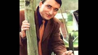 orman dolu kestane