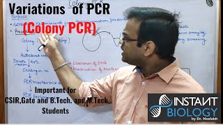Colony PCR