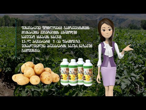 \"ჯეოჰუმატი\" კარტოფილში - აგროTV