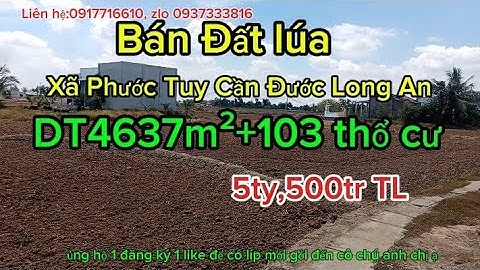 Ms146-Bán đất lúa xã phước tuy cần đước long an,DT4637m², 5ty,500tr thương lượng chính chủ