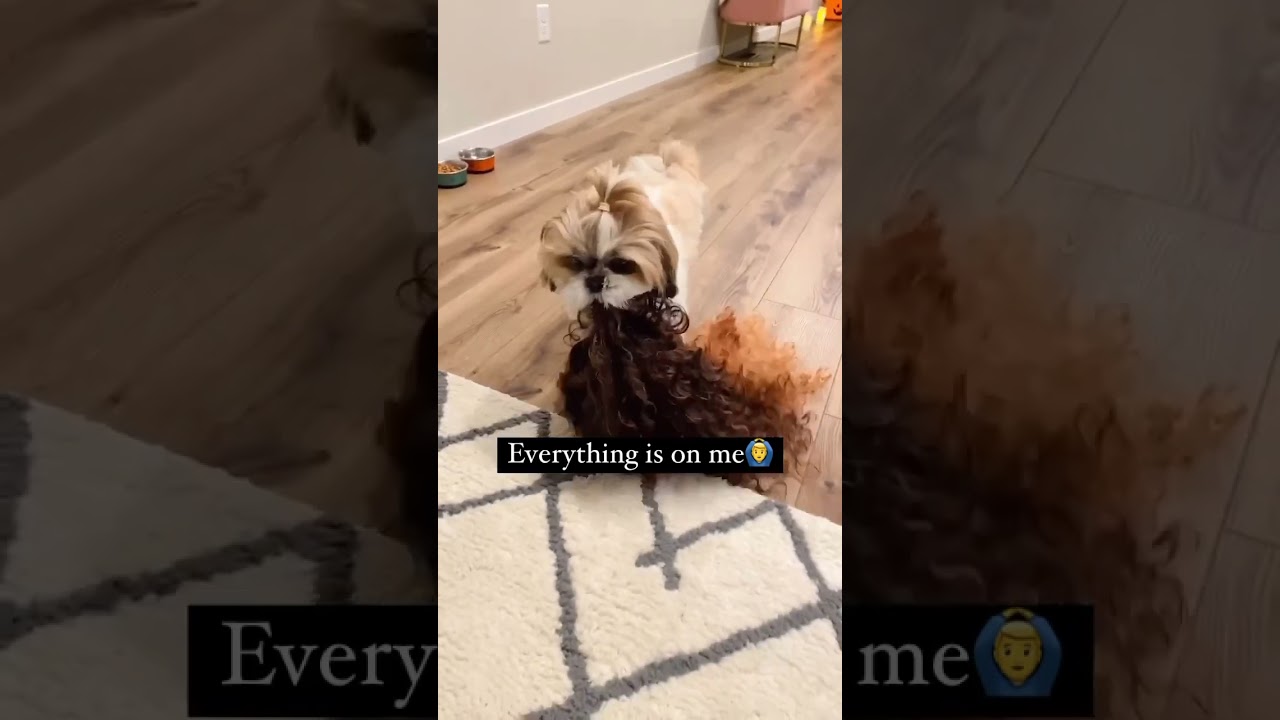 Part 1: Guys help me, I need a helper 