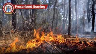 Prescribed Burn Process   Using Fire to Protect Homes