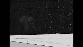 (for once I dreamed of you) - Trailer | IFFR 2026